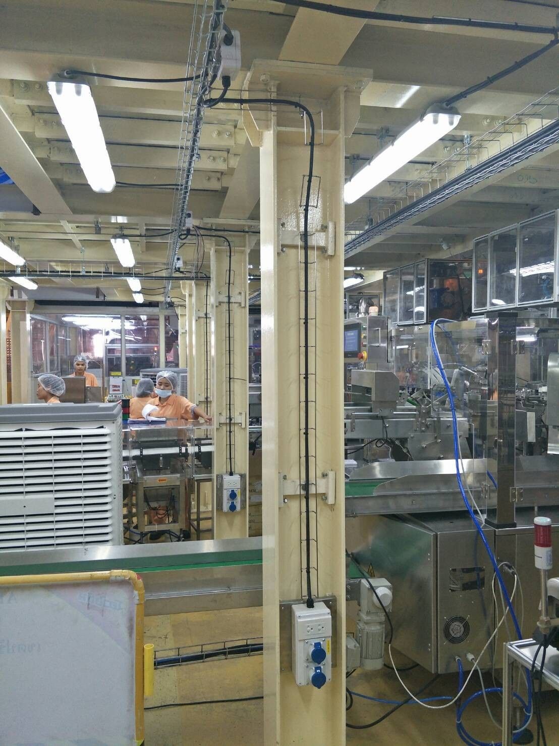 Wire mesh tray routed along the ceiling and down a column above a food production line
